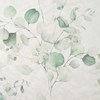 Ambrosia - fern