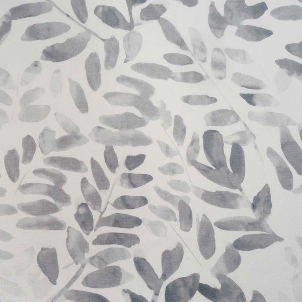 Kokomo Cloud - Sheer