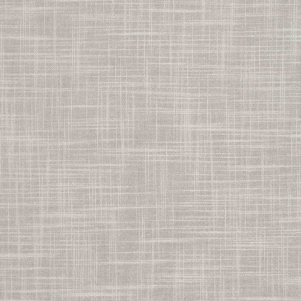 Kumo Birch - Sheer